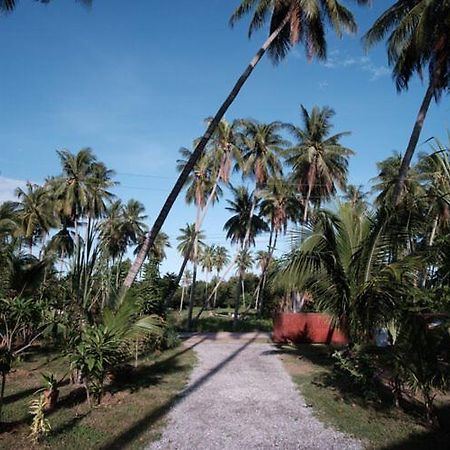 Coconut Tree Homestay Ban Wa Thon Exterior photo